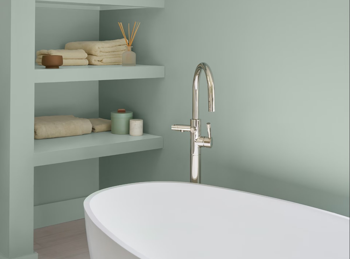 Краска Benjamin Moore Raindance 1572