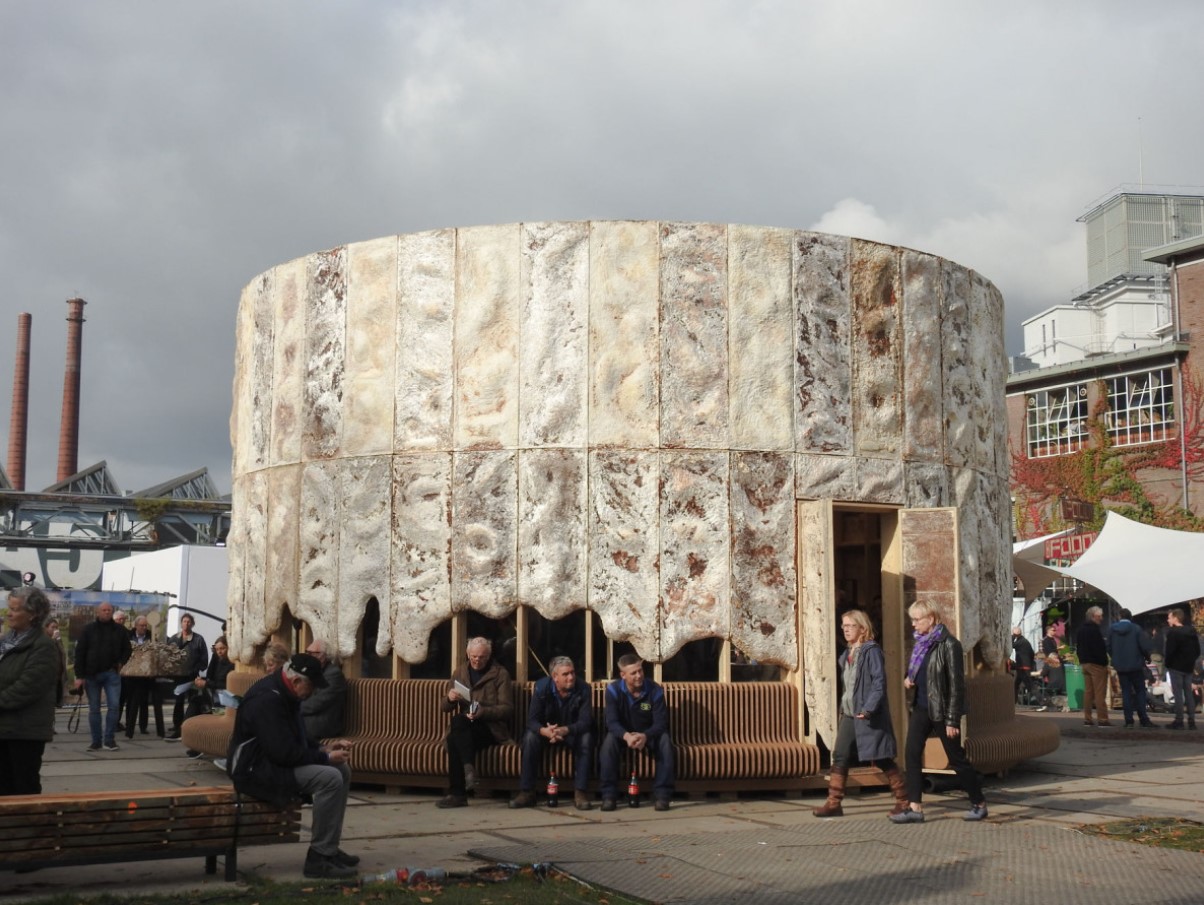 Дома из грибов: как mycelium architecture может изменить будущее строительства